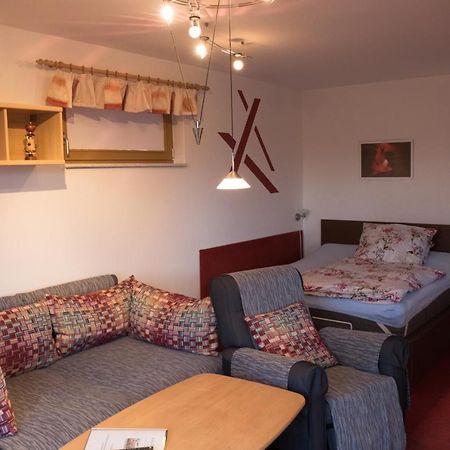 Hundemuede In Dresden Apartman Kültér fotó